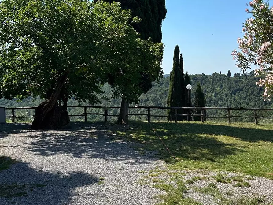 Immagine 54 di Casa colonica in vendita  a Carmignano