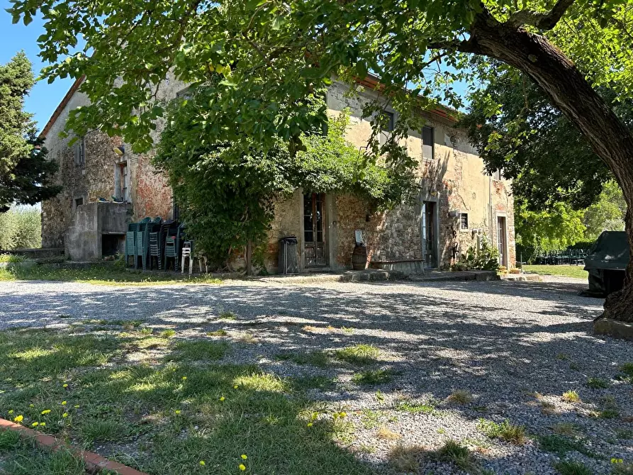 Immagine 45 di Casa colonica in vendita  a Carmignano