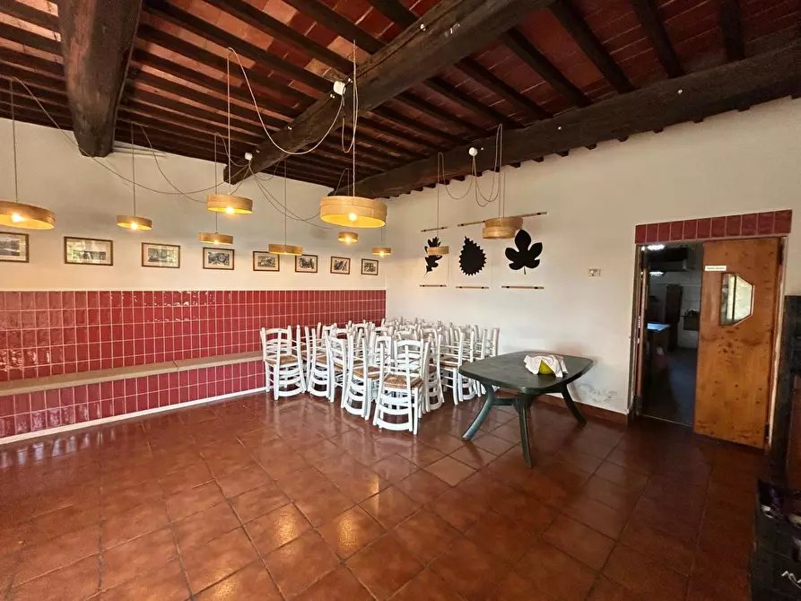 Immagine 26 di Casa colonica in vendita  a Carmignano