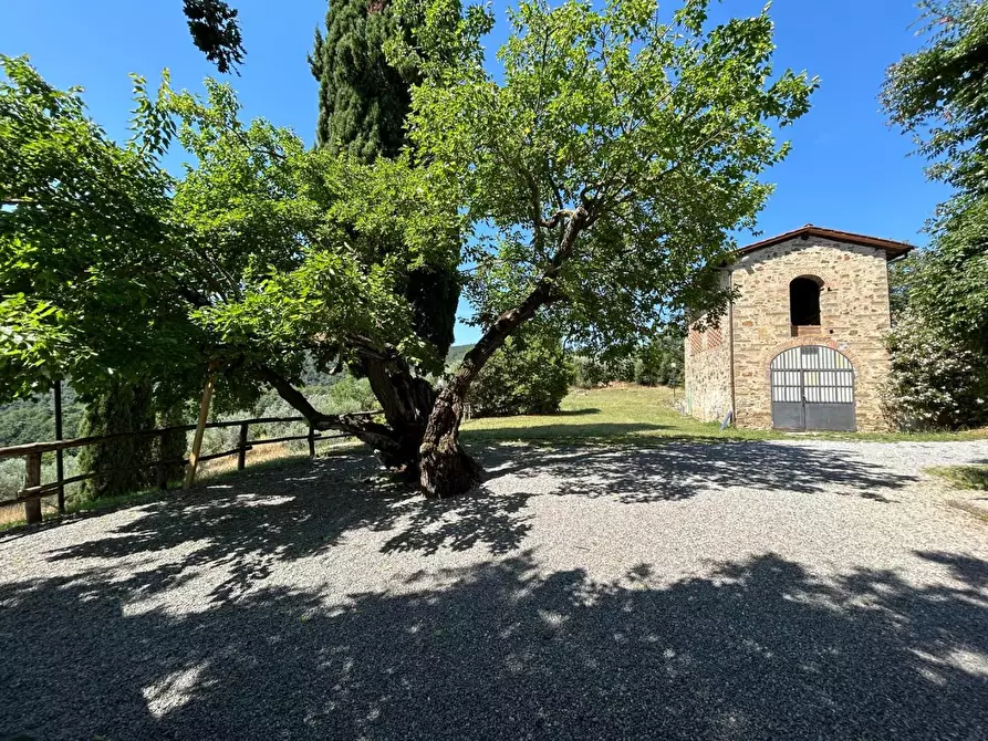 Immagine 39 di Casa colonica in vendita  a Carmignano