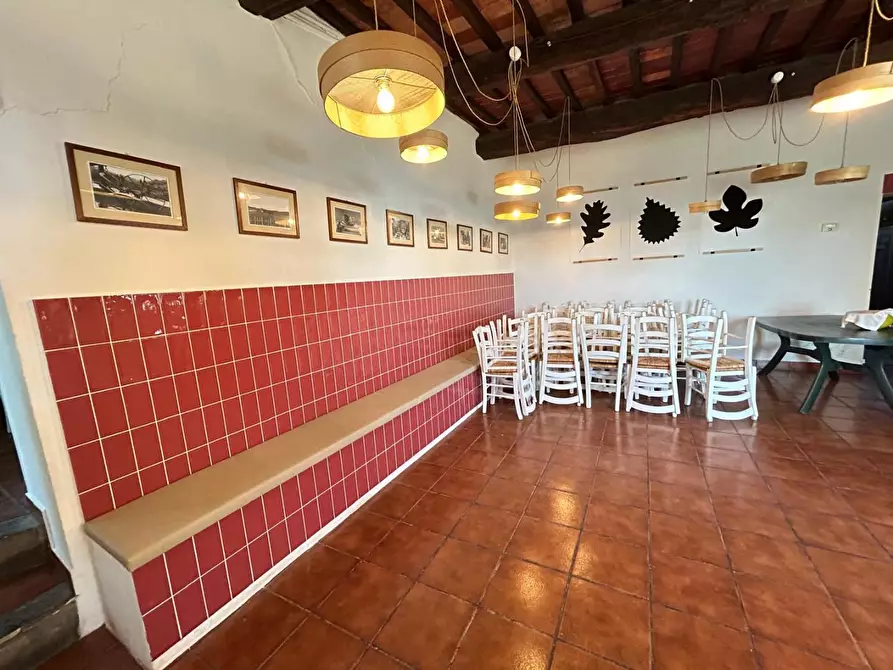 Immagine 25 di Casa colonica in vendita  a Carmignano