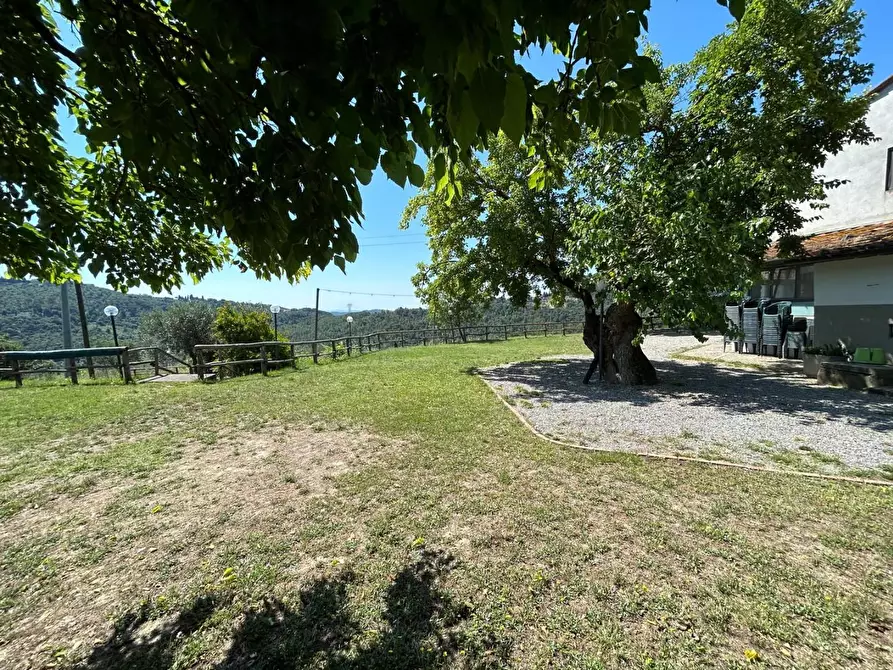 Immagine 52 di Casa colonica in vendita  a Carmignano