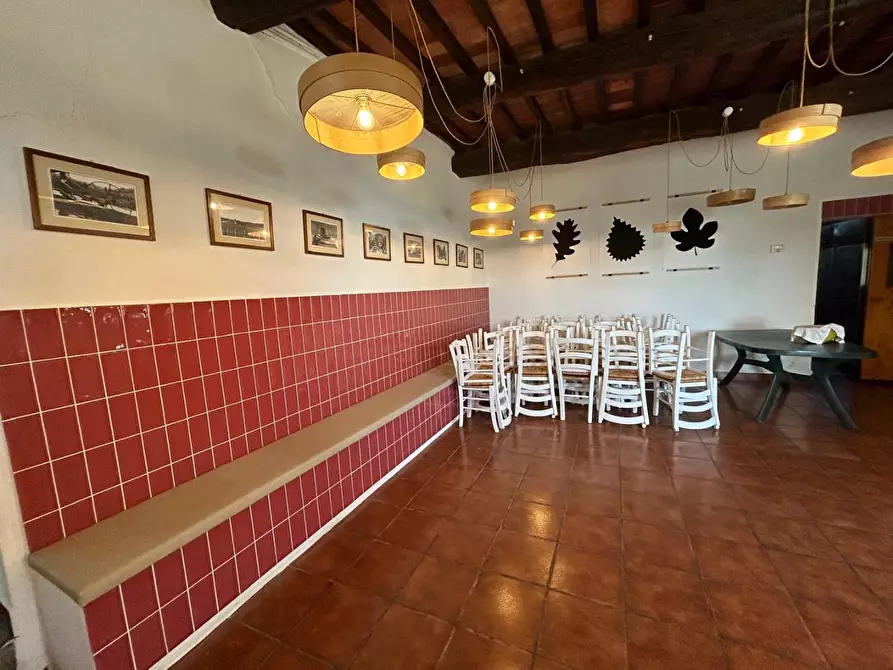 Immagine 24 di Casa colonica in vendita  a Carmignano