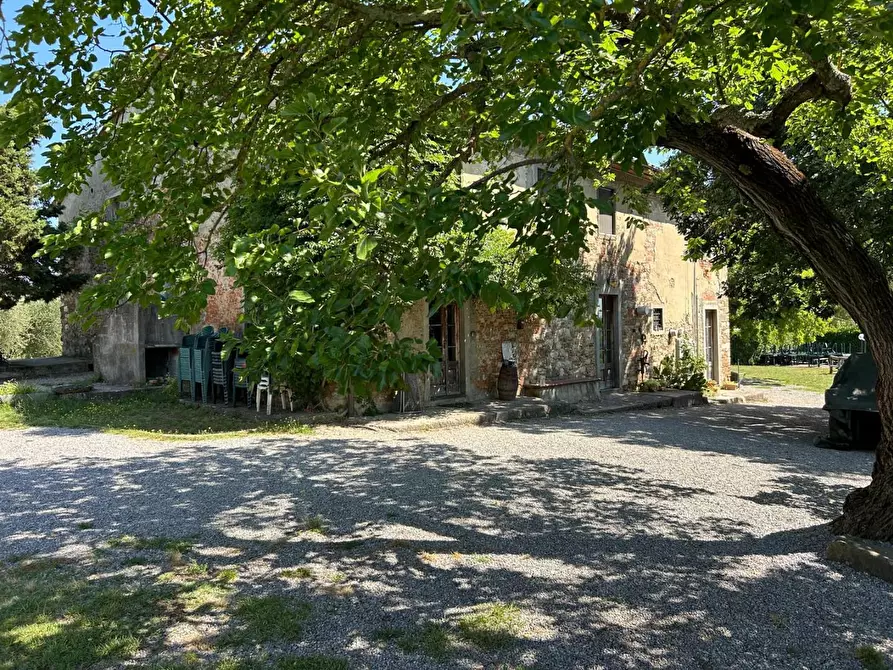 Immagine 44 di Casa colonica in vendita  a Carmignano