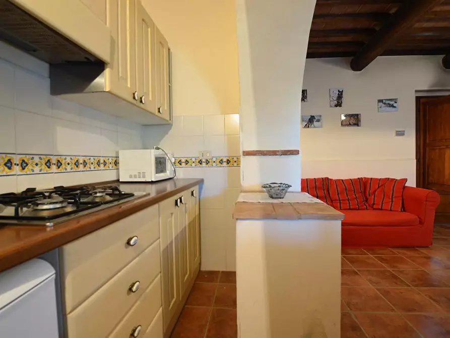 Immagine 7 di Casa colonica in vendita  a Casole D'elsa