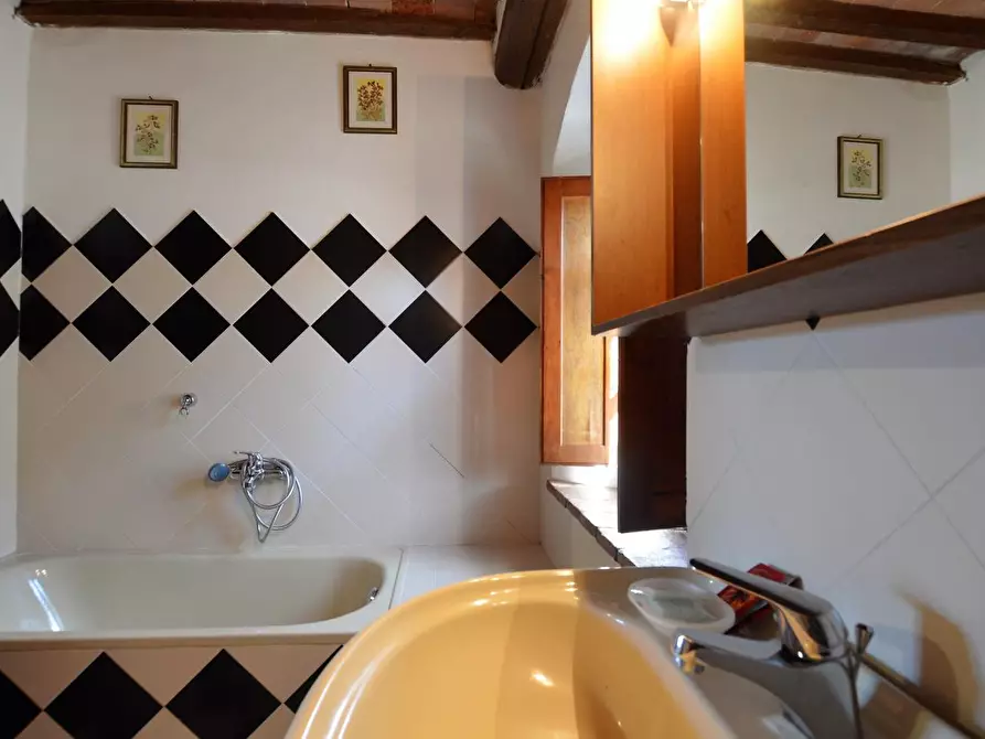 Immagine 21 di Casa colonica in vendita  a Casole D'elsa