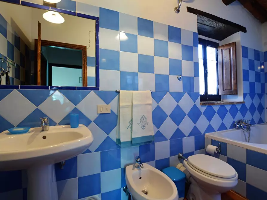 Immagine 36 di Casa colonica in vendita  a Casole D'elsa