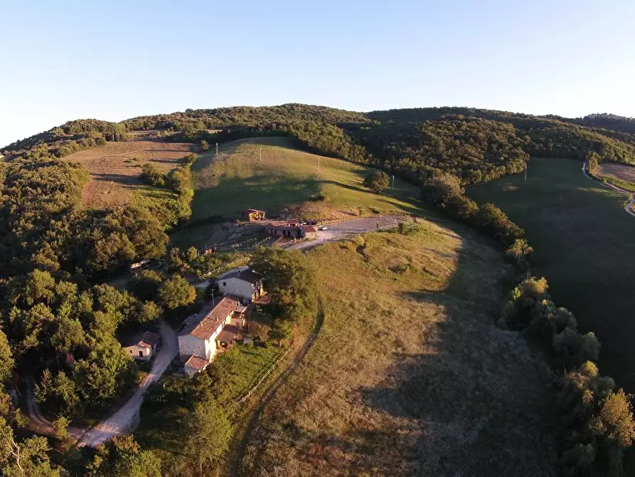 Immagine 2 di Casa colonica in vendita  a Casole D'elsa