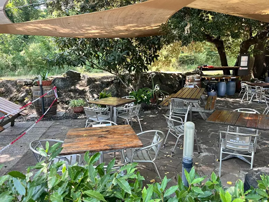 Immagine 14 di Bar / Ristorante in vendita  a Montecatini Val Di Cecina