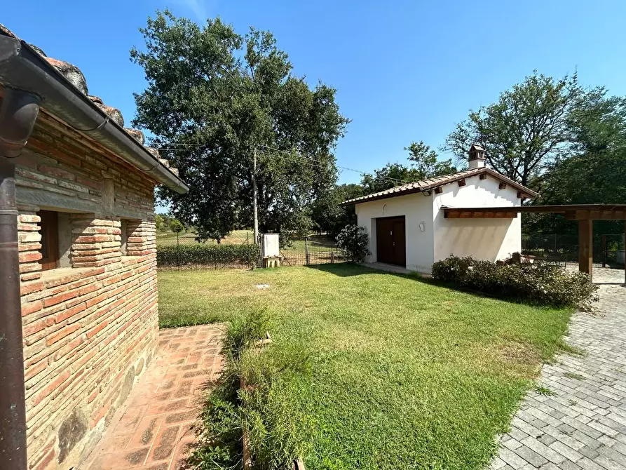 Immagine 24 di Casa colonica in vendita  a Castelfranco Di Sotto