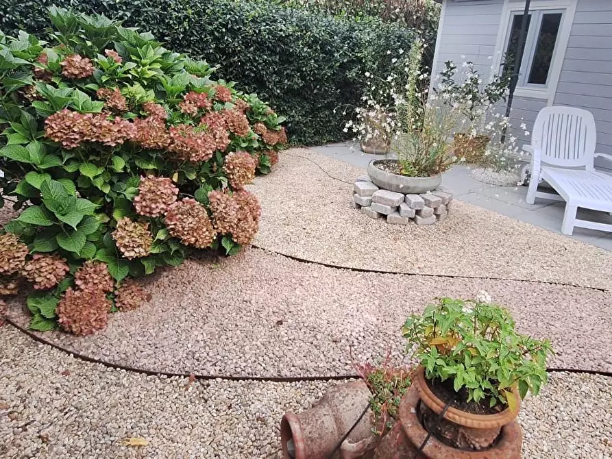 Immagine 4 di Casa quadrifamiliare in vendita  a Barga