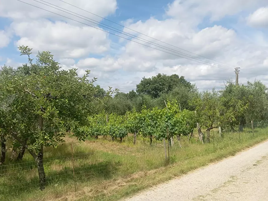 terreno agricolo in vendita a Poggibonsi in zona Bellavista