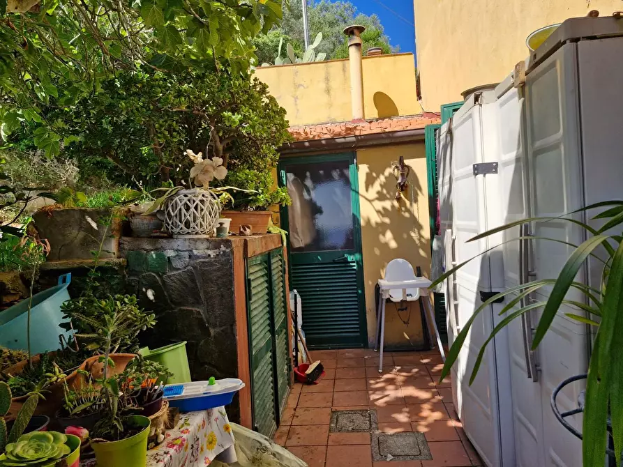 Immagine 37 di Appartamento in vendita  a Rio Marina