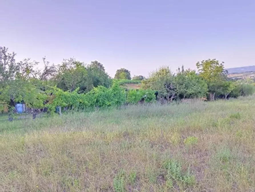 Immagine 4 di Terreno agricolo in vendita  a Colle Di Val D'elsa