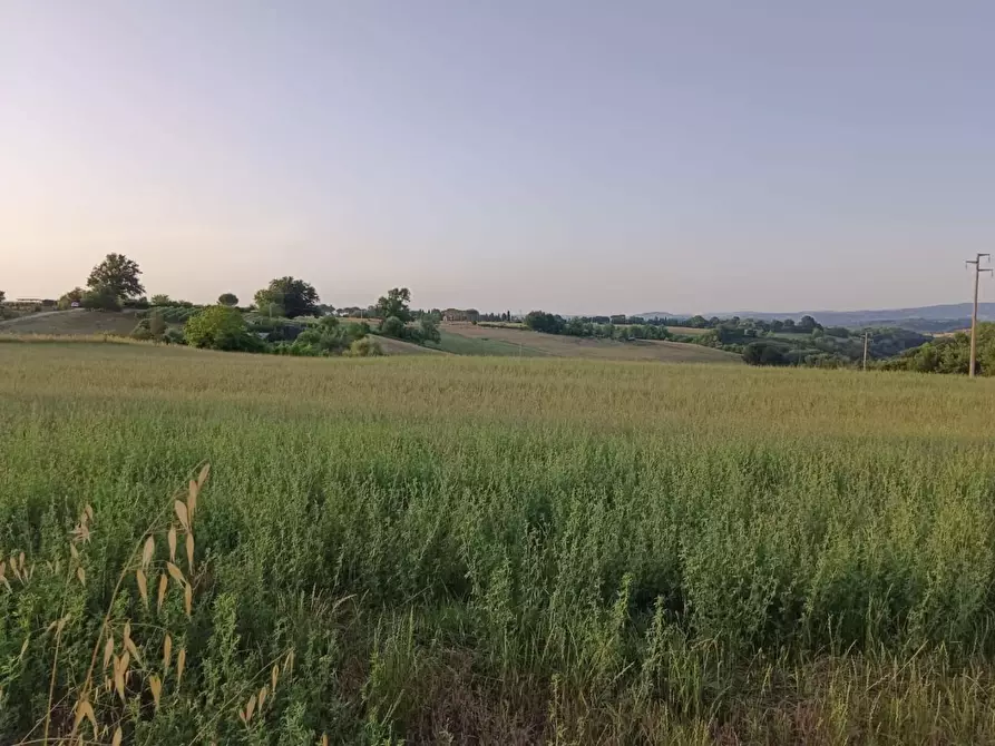 Immagine 8 di Terreno agricolo in vendita  a Colle Di Val D'elsa