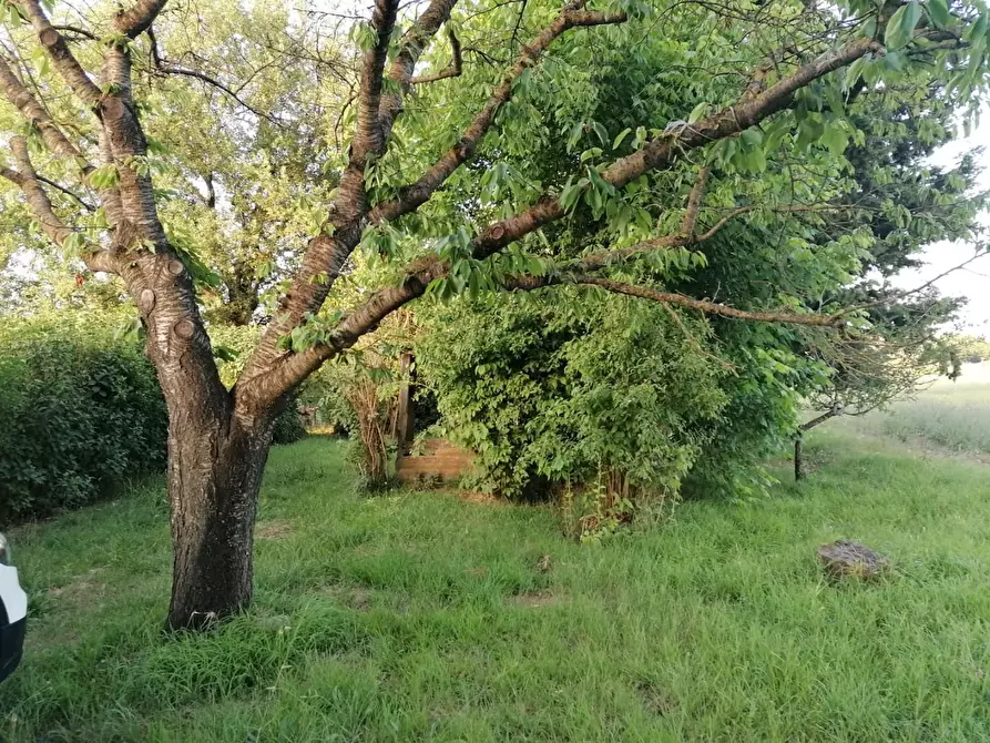 Immagine 11 di Terreno agricolo in vendita  a Colle Di Val D'elsa