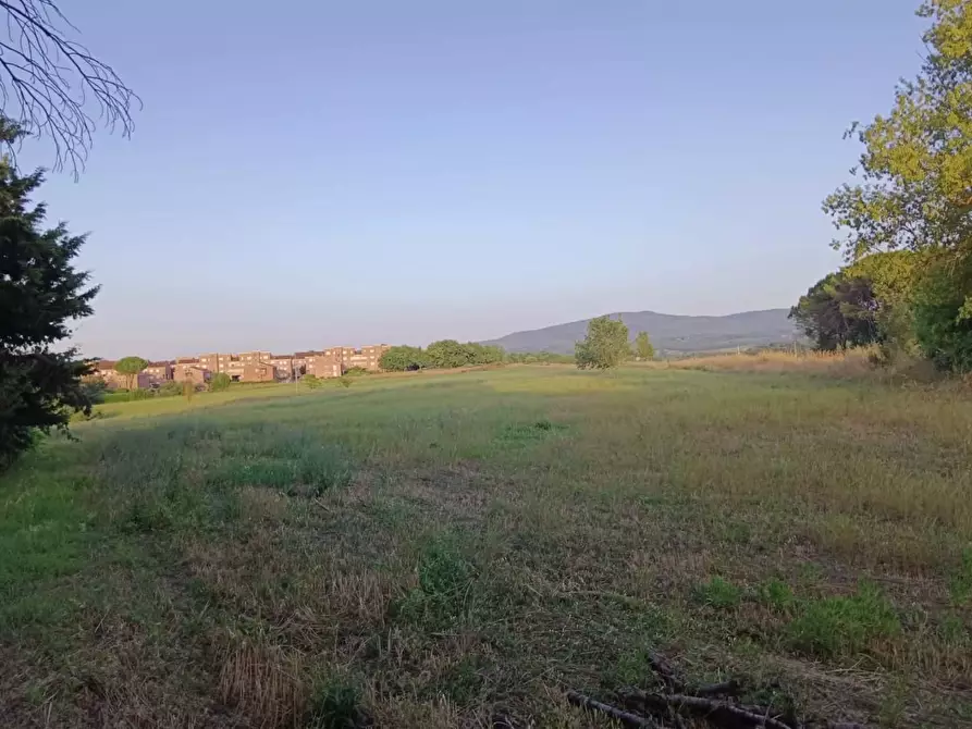 Immagine 5 di Terreno agricolo in vendita  a Colle Di Val D'elsa