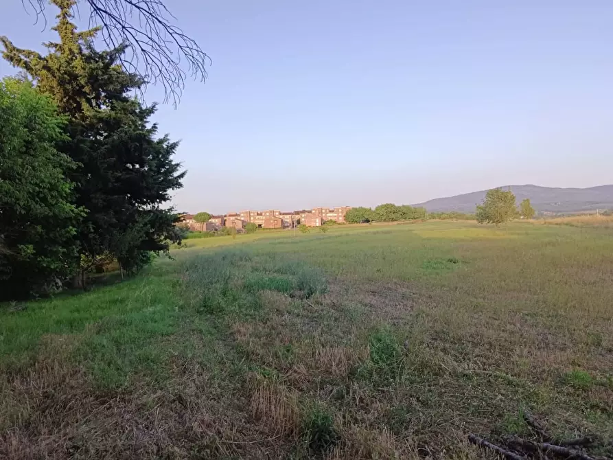 Immagine 10 di Terreno agricolo in vendita  a Colle Di Val D'elsa