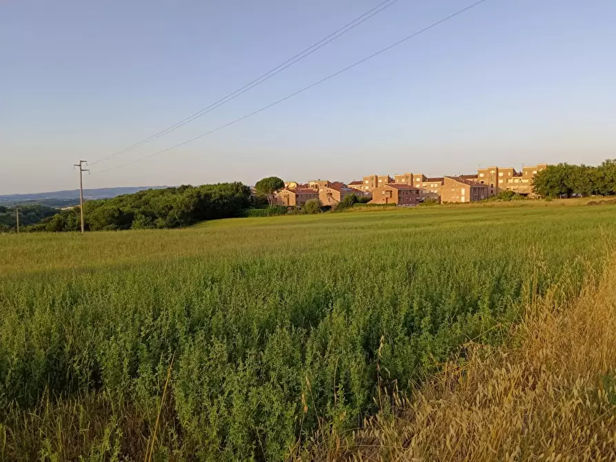 Immagine 7 di Terreno agricolo in vendita  a Colle Di Val D'elsa