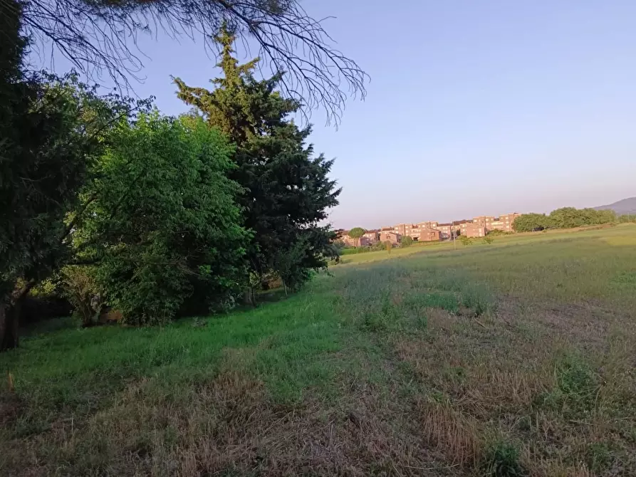 Immagine 9 di Terreno agricolo in vendita  a Colle Di Val D'elsa