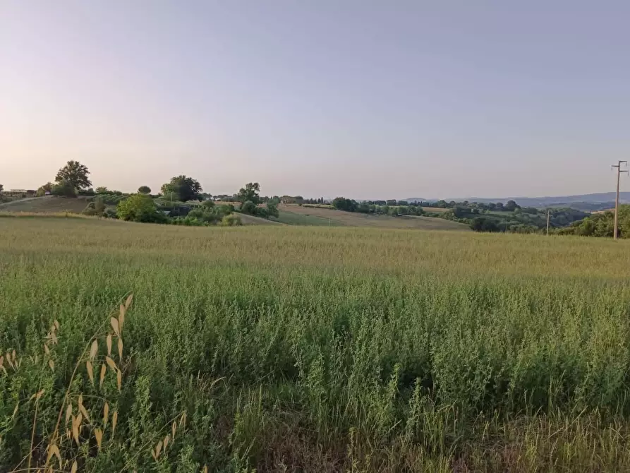 Immagine 1 di Terreno agricolo in vendita  a Colle Di Val D'elsa