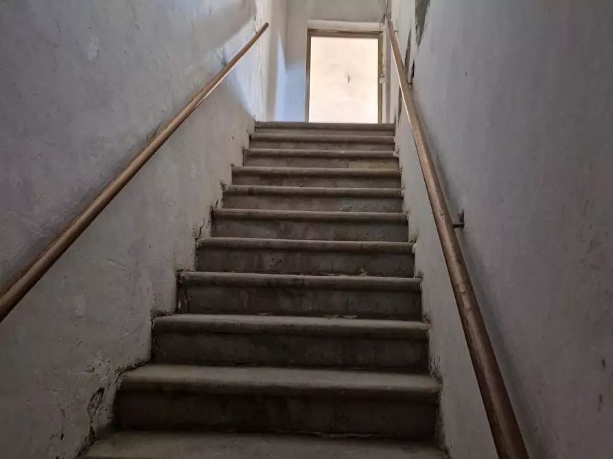 Immagine 7 di Porzione di casa in vendita  a Terricciola