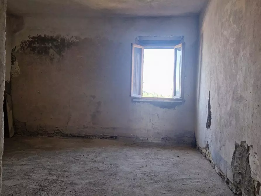 Immagine 21 di Porzione di casa in vendita  a Terricciola