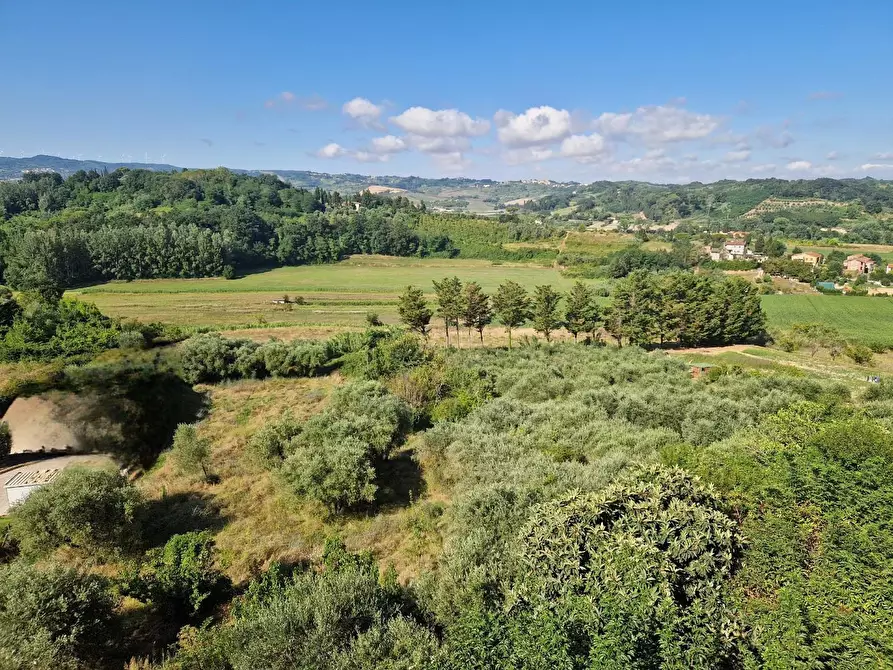 Immagine 19 di Porzione di casa in vendita  a Terricciola