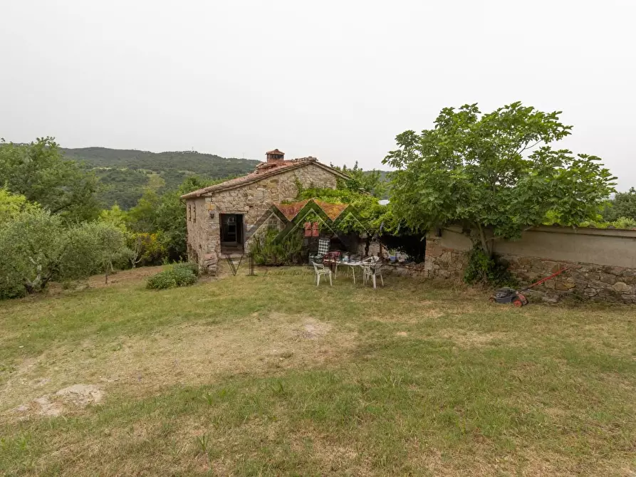 Immagine 1 di Casa colonica in vendita  a Castelnuovo Val Di Cecina