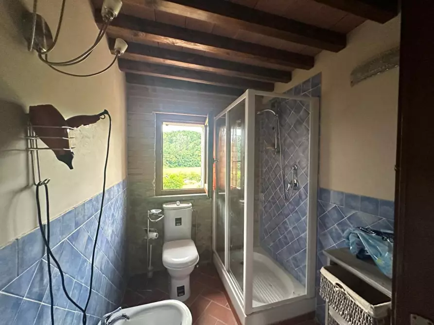 Immagine 23 di Casa colonica in vendita  a Villafranca In Lunigiana