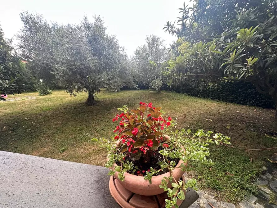 Immagine 9 di Casa colonica in vendita  a Villafranca In Lunigiana