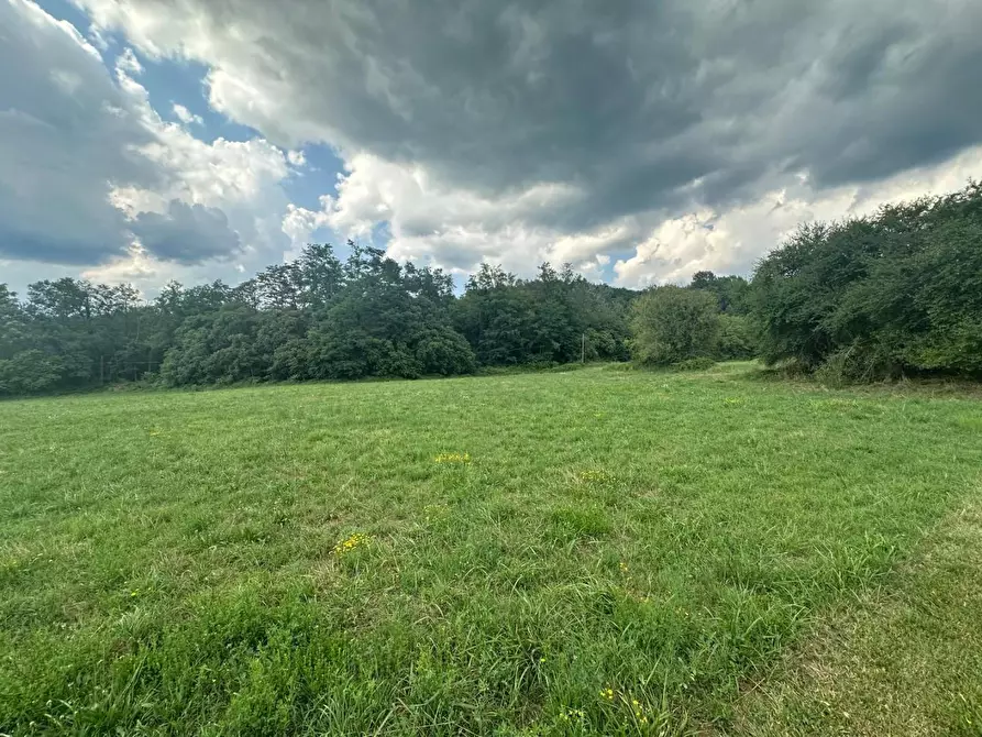 Immagine 34 di Casa colonica in vendita  a Villafranca In Lunigiana