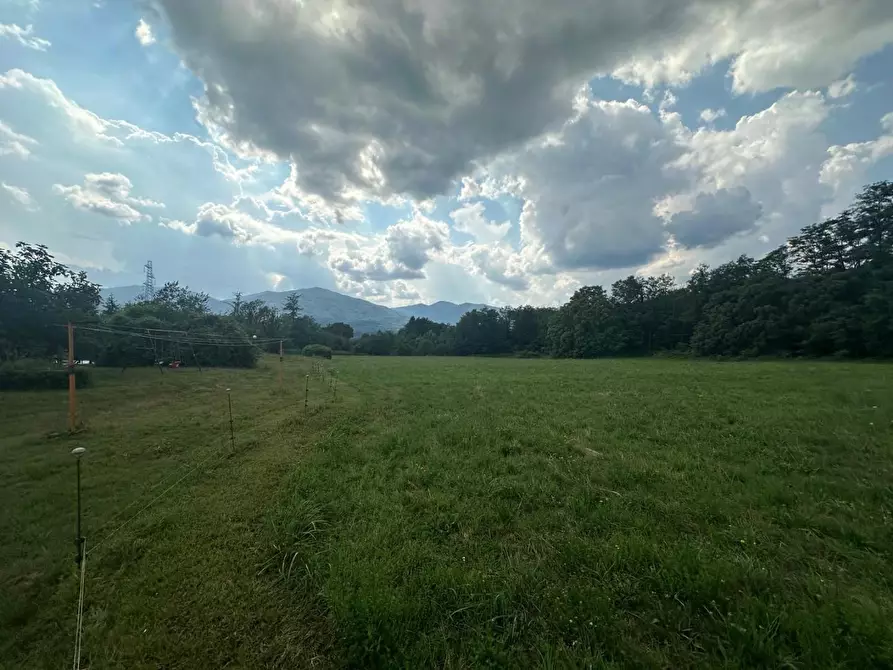 Immagine 35 di Casa colonica in vendita  a Villafranca In Lunigiana