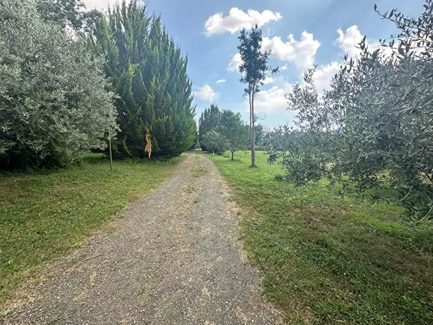 Immagine 24 di Casa colonica in vendita  a Villafranca In Lunigiana