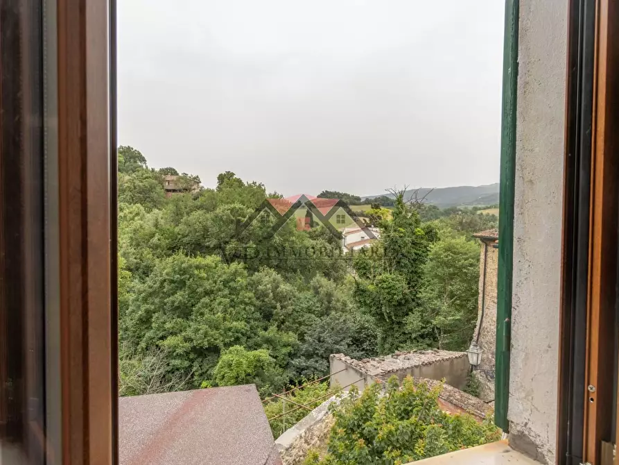 Immagine 15 di Terratetto in vendita  a Pomarance