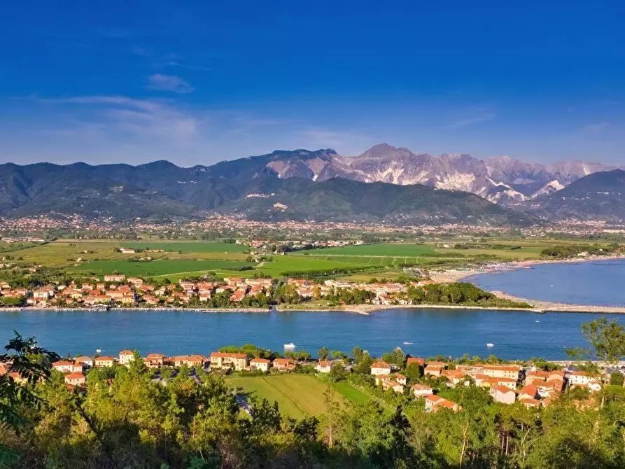 Immagine 4 di Mansarda in vendita  a Ameglia