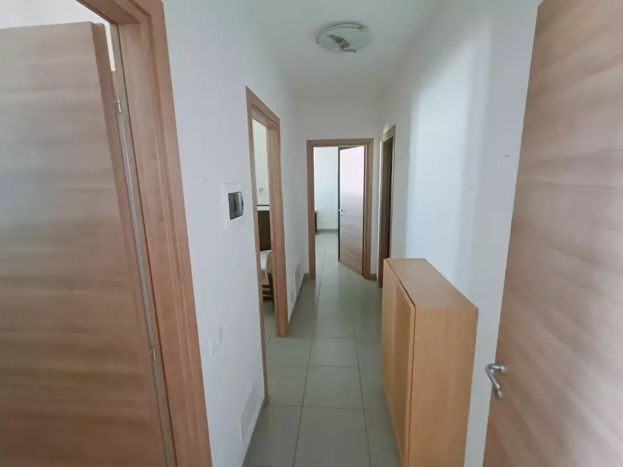 Immagine 5 di Appartamento in vendita  a Rosignano Marittimo