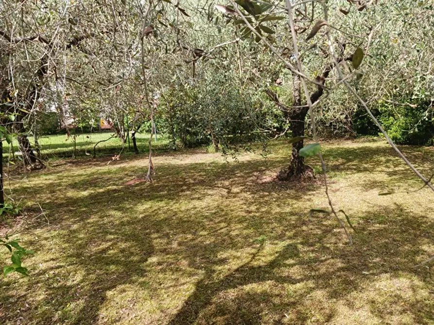 Immagine 17 di Villa in vendita  a Carrara