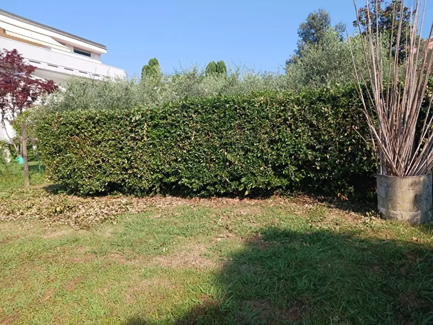Immagine 19 di Villa in vendita  a Carrara