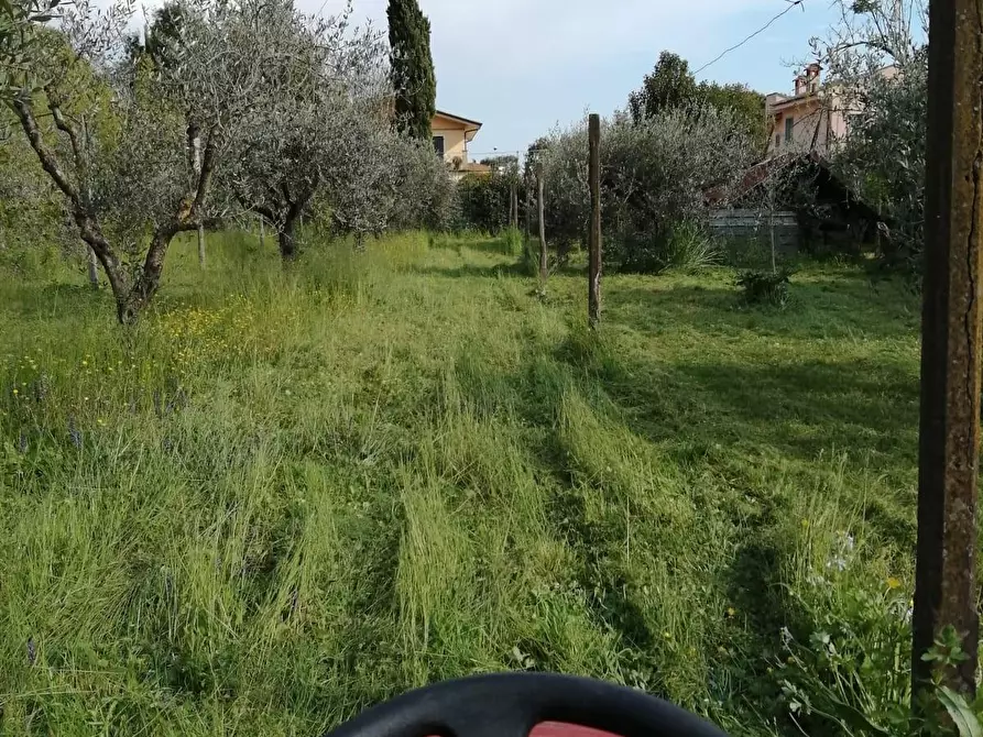 Immagine 14 di Villa in vendita  a Carrara