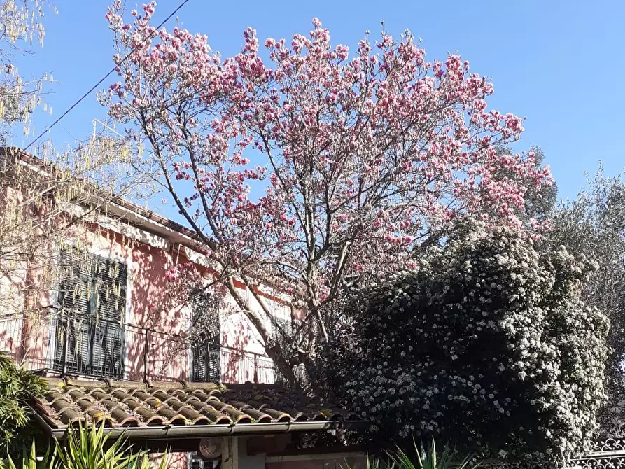 Immagine 3 di Villa in vendita  a Carrara