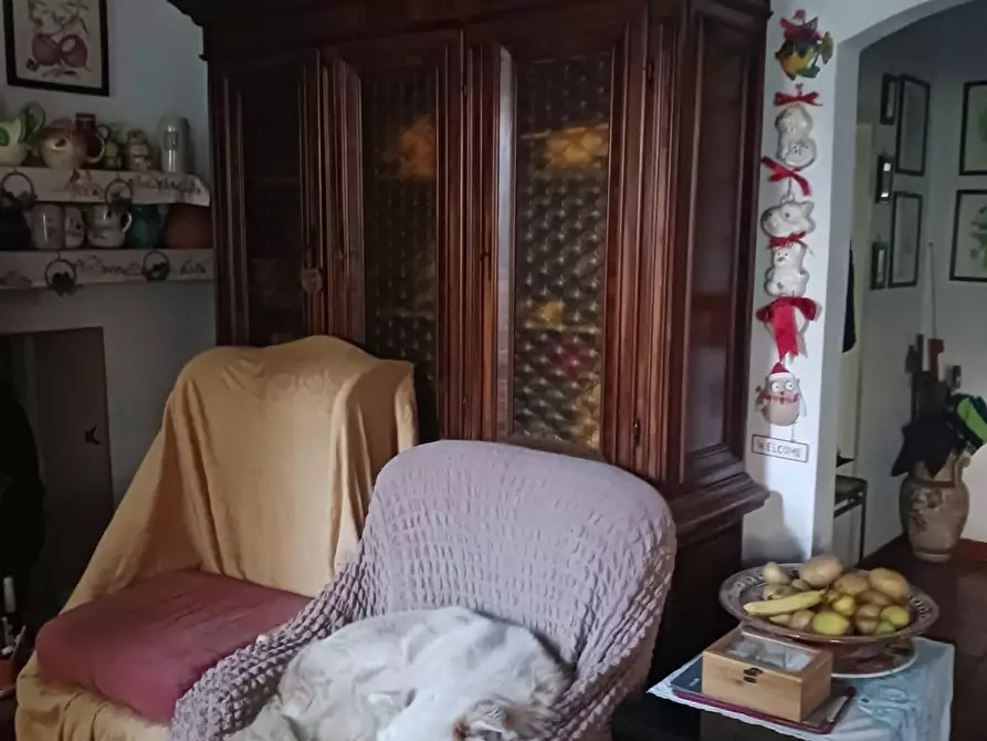 Immagine 25 di Villa in vendita  a Carrara