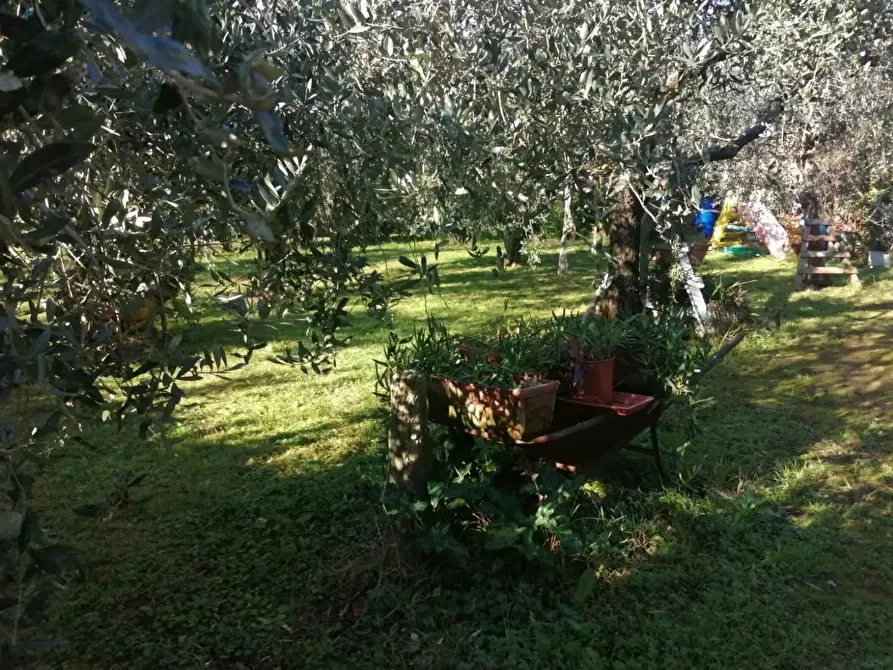 Immagine 11 di Villa in vendita  a Carrara