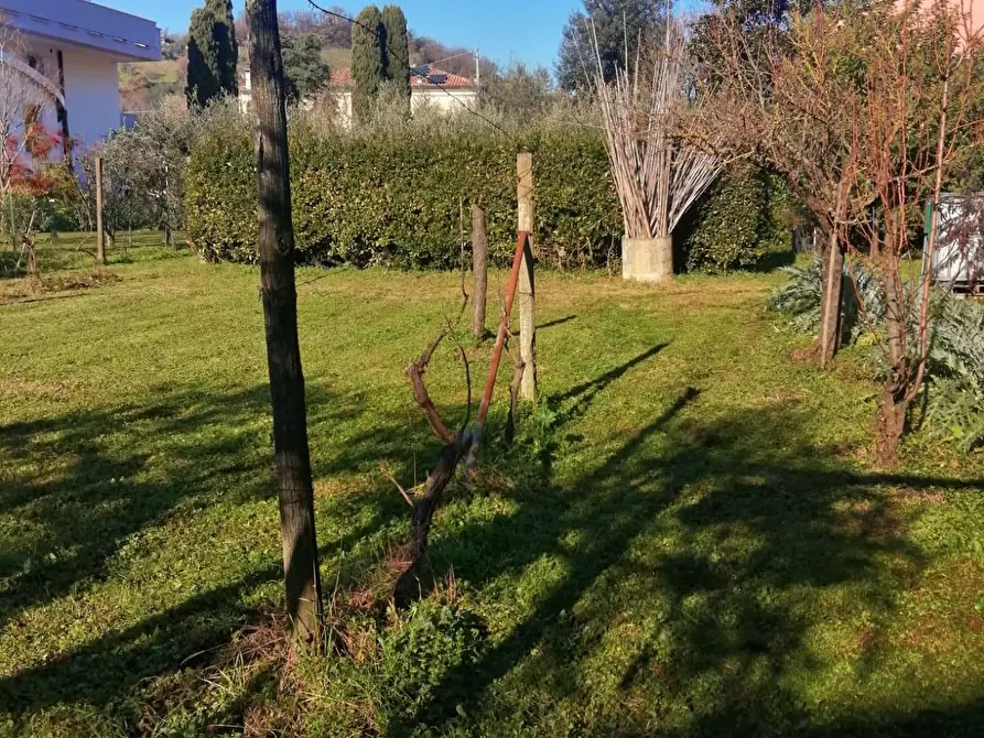 Immagine 15 di Villa in vendita  a Carrara