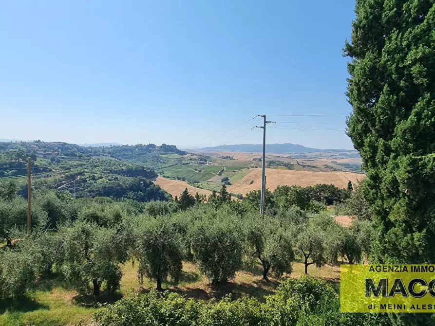 Immagine 1 di Casa indipendente in vendita  a Terricciola