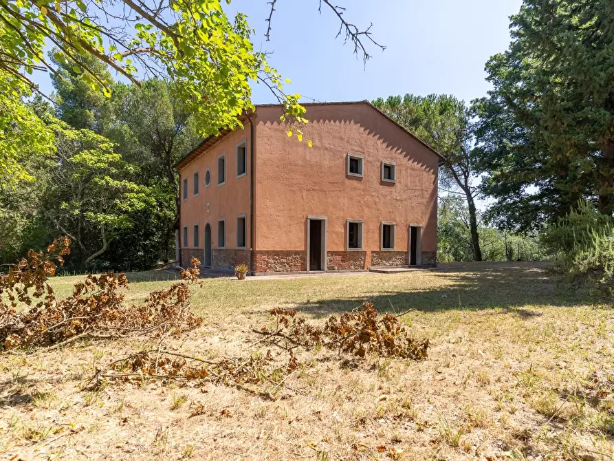 Immagine 7 di Villa in vendita  a Palaia