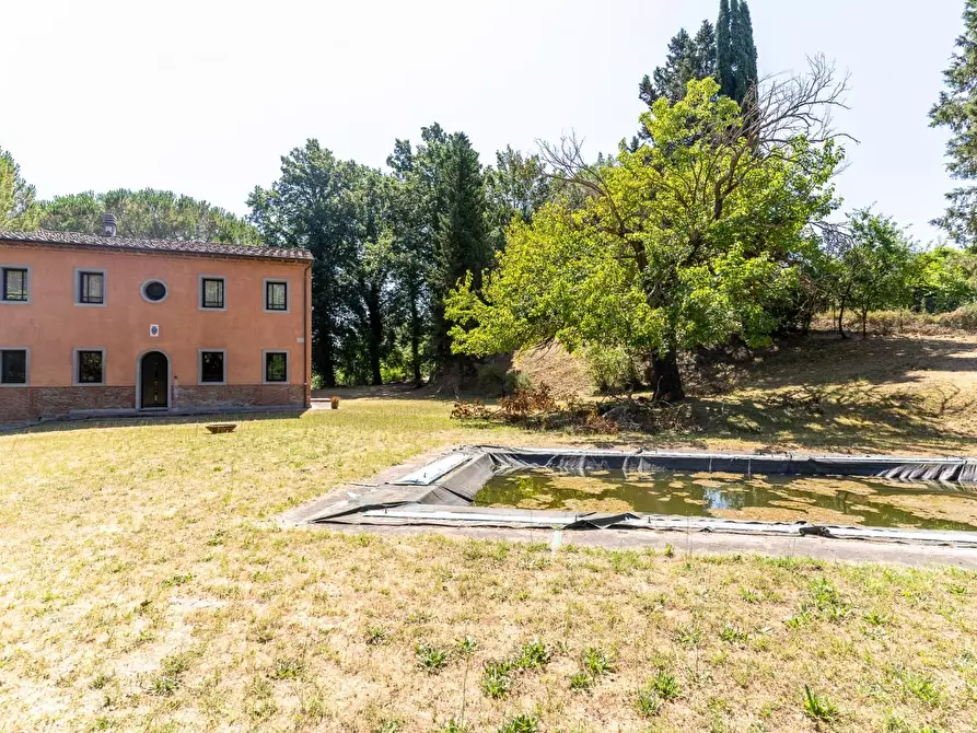 Immagine 4 di Villa in vendita  a Palaia