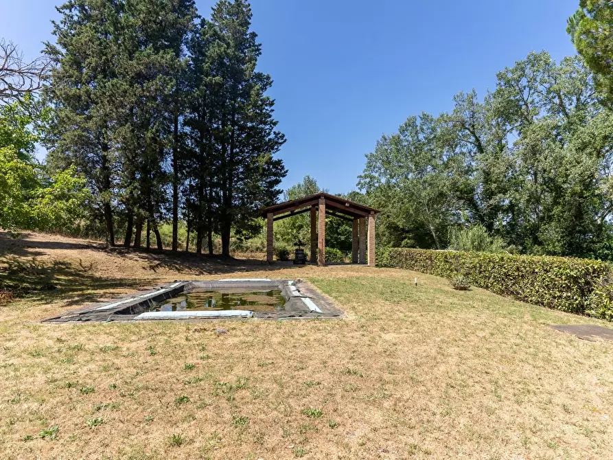 Immagine 6 di Villa in vendita  a Palaia