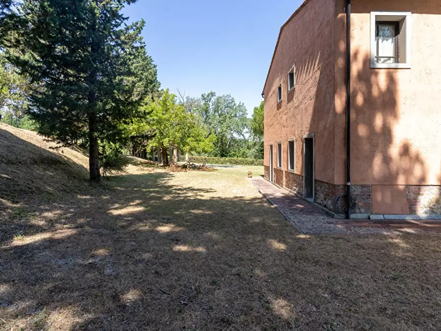 Immagine 12 di Villa in vendita  a Palaia