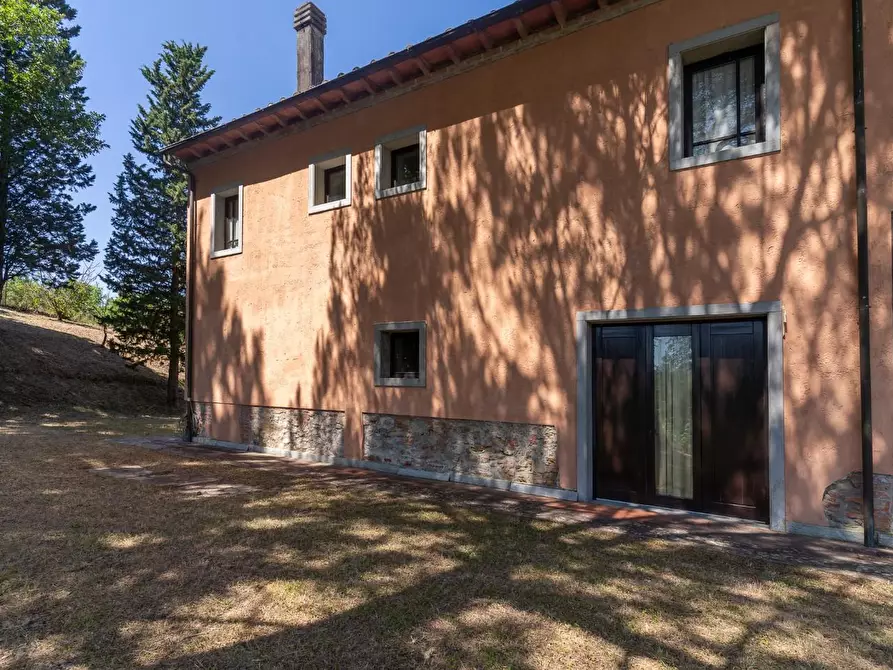 Immagine 61 di Villa in vendita  a Palaia